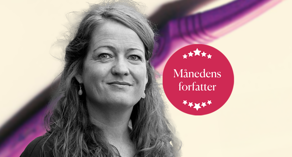 heidi linde topbanner