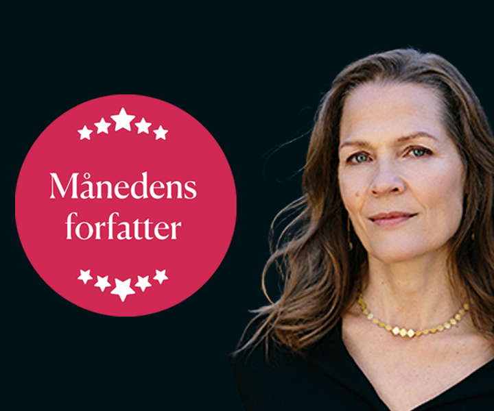 åsne topbanner