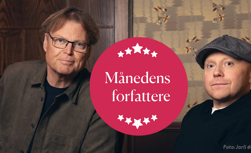 Horst og Fjell - banner