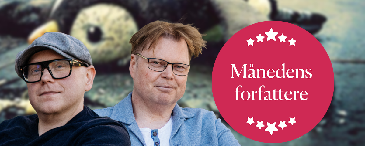 horst og fjell toppbanner