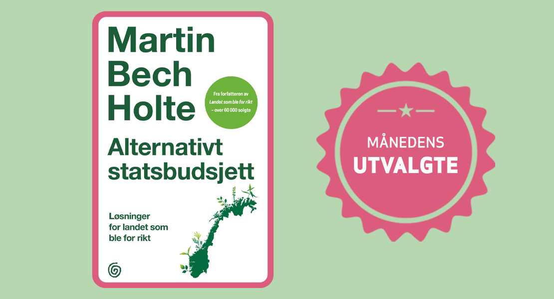 mnds utvalgte alternativt statsbudsjett