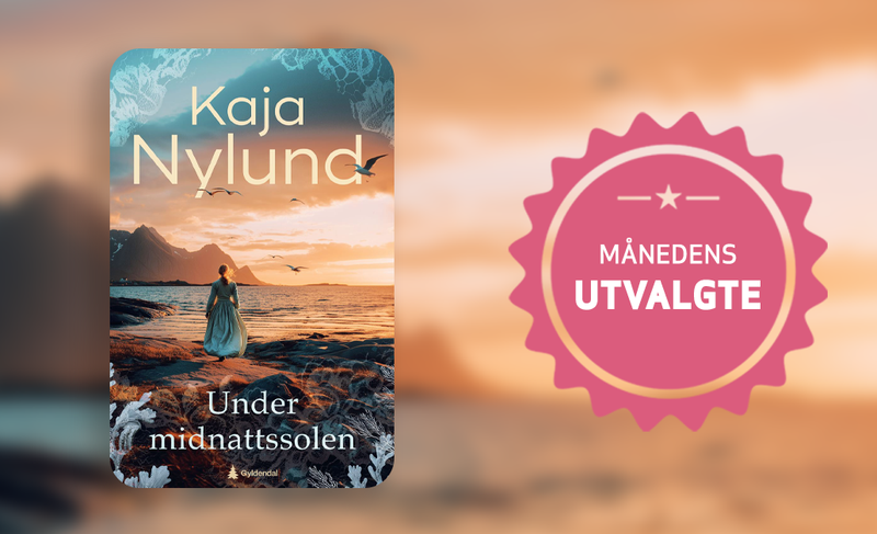 Under midnattssolen - banner