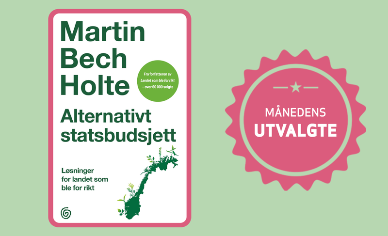 mnds utvalgte alternativt statsbudsjett