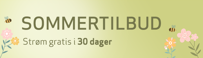 700x200px_premium (1).png