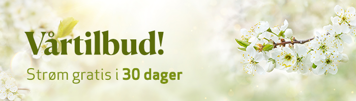 Vårtilbud Premium small card