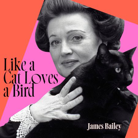 Like a Cat Loves a Bird