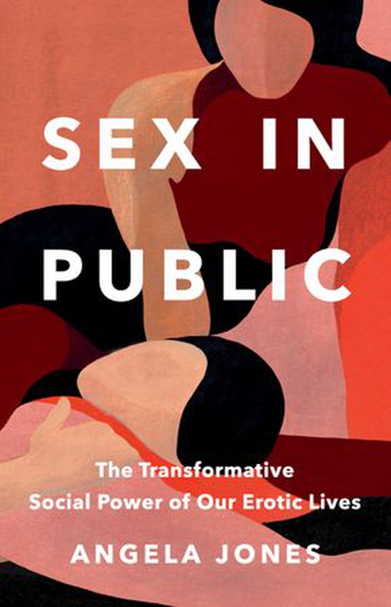 Sex in Public - The Transformative Social Power of Our Erotic Lives (ebok) av Angela Jones