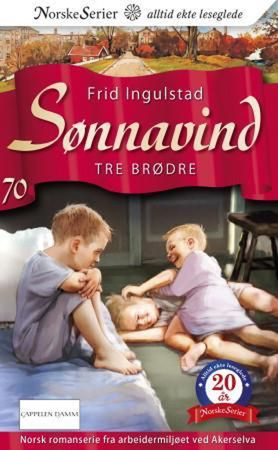 Tre brødre (ebok) av Frid Ingulstad
