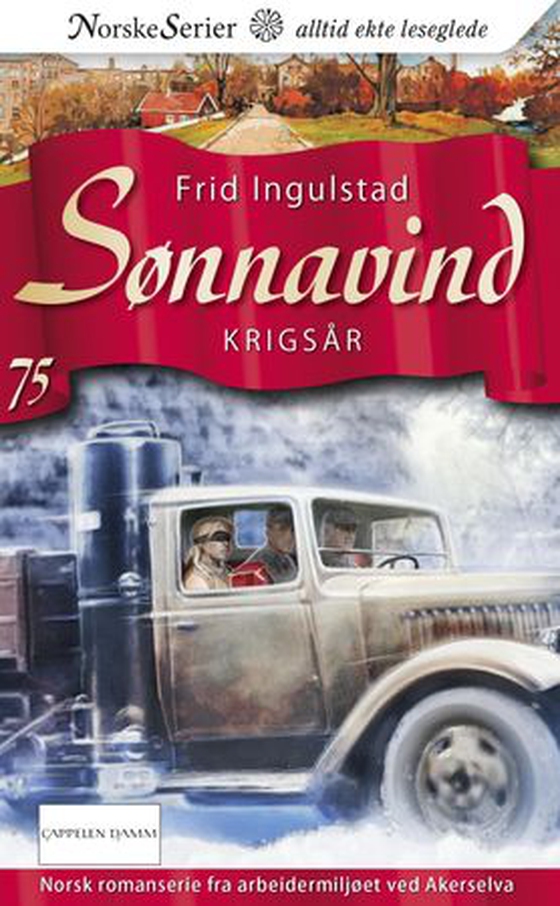 Krigsår (ebok) av Frid Ingulstad