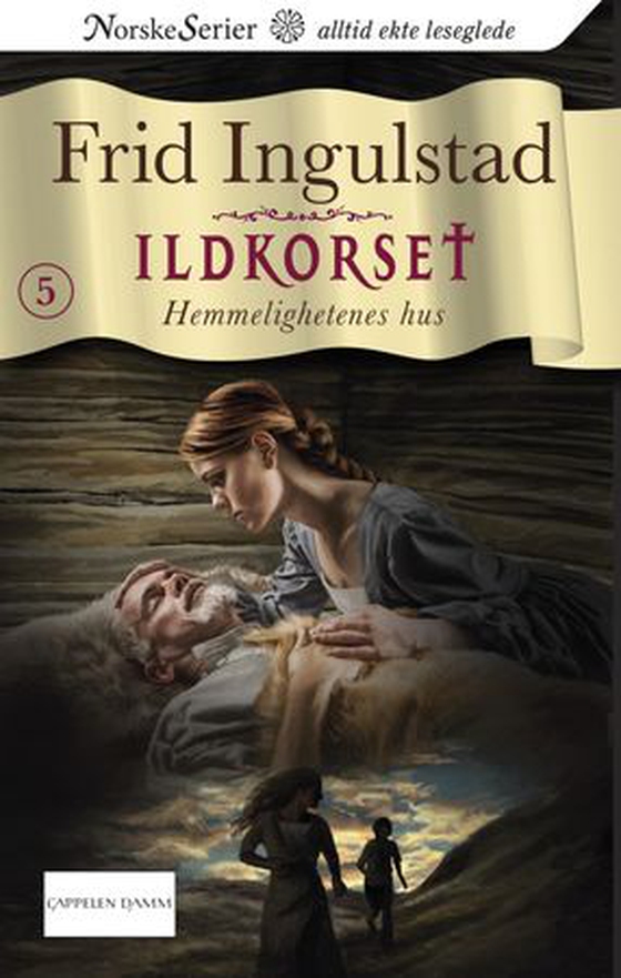 Hemmelighetenes hus (ebok) av Frid Ingulstad