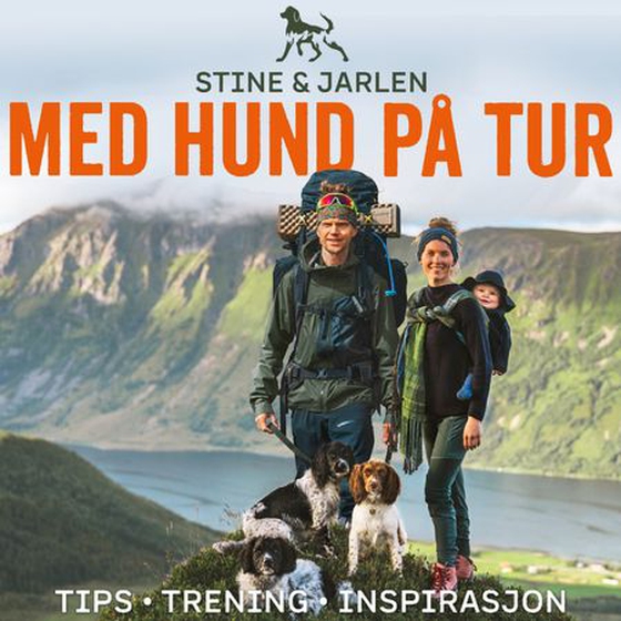 Med hund på tur