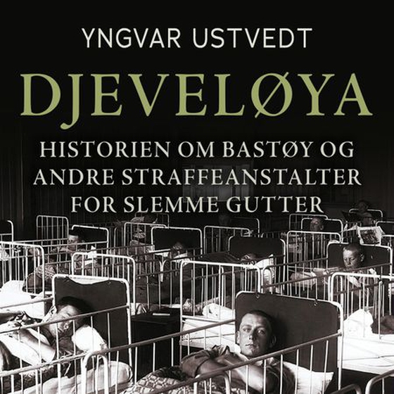Djeveløya i oslofjorden
