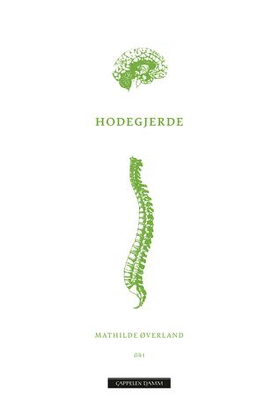 Hodegjerde (ebok) av Mathilde Øverland