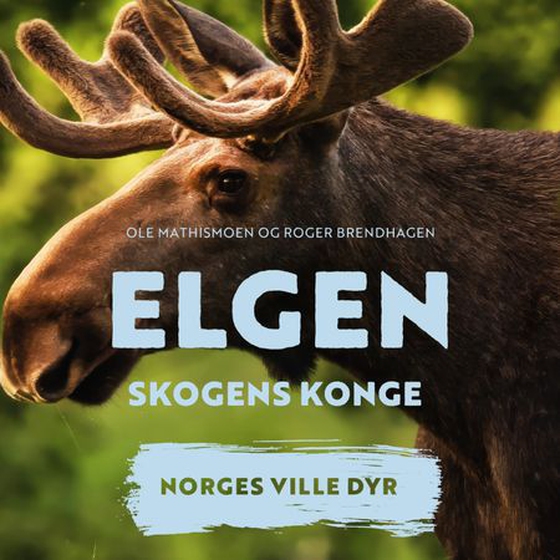 Elgen - skogens konge