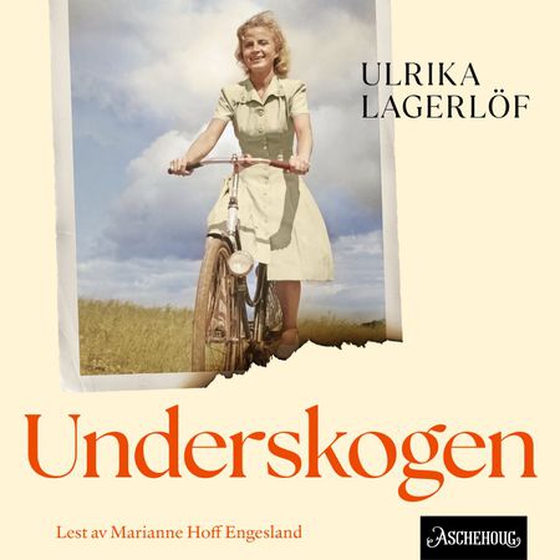 Underskogen
