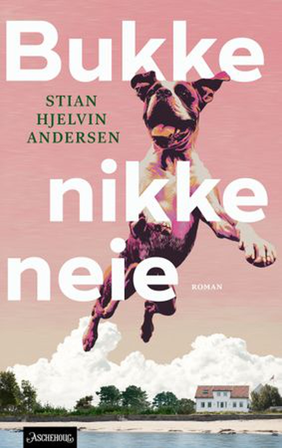 Bukke nikke neie (ebok) av Stian Hjelvin Andersen