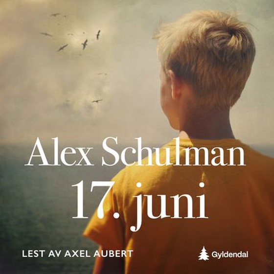 17. juni (lydbok) av Alex Schulman