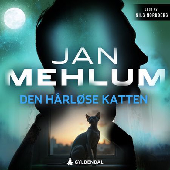 Den hårløse katten