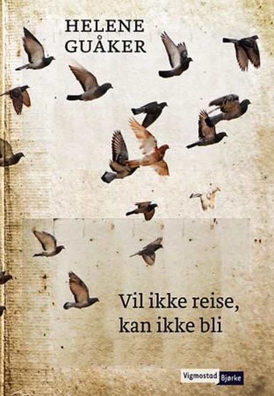 Vil ikke reise, kan ikke bli