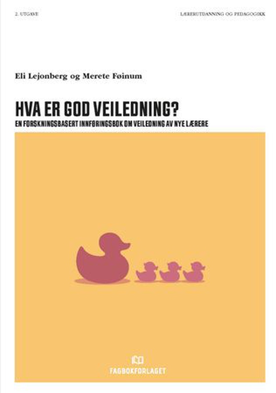 Hva er god veiledning?