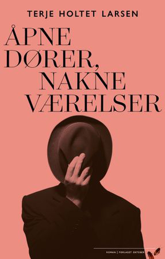 Åpne dører, nakne værelser (ebok) av Terje Holtet Larsen