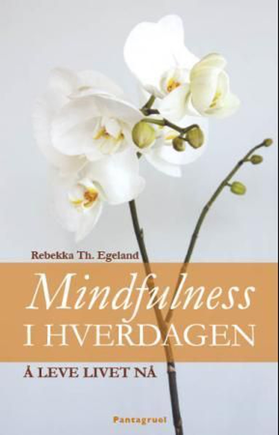 Mindfulness i hverdagen