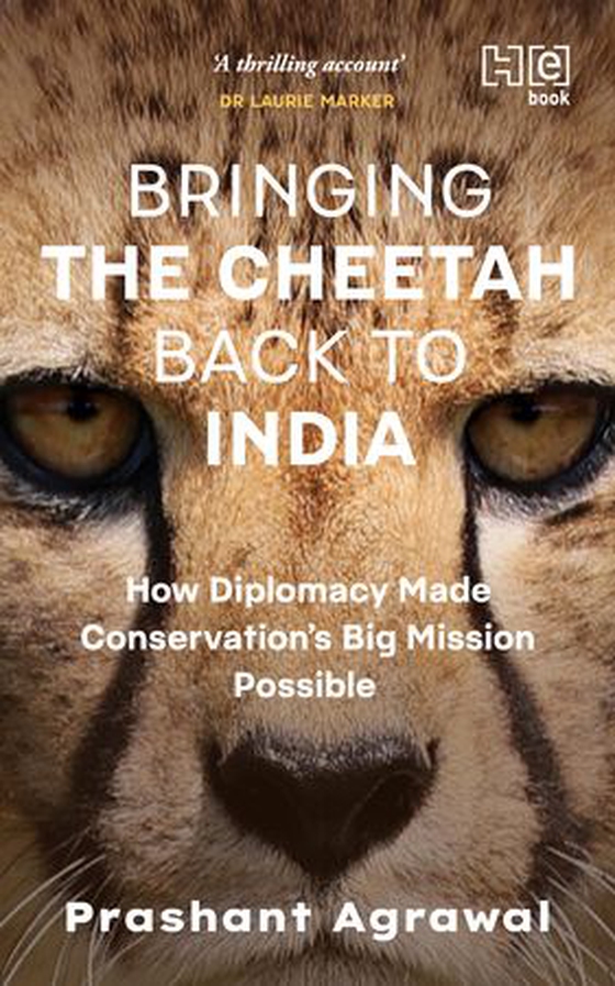 Bringing the Cheetah Back to India