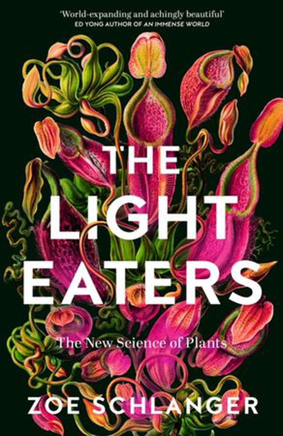 Light Eaters - The New Science of Plant Intelligence (ebok) av Zoe Schlanger