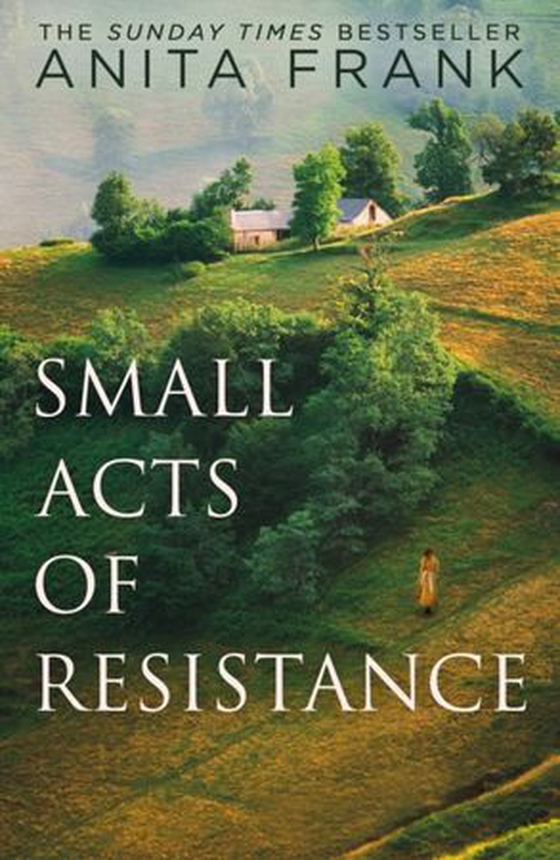 Small Acts of Resistance (ebok) av Anita Frank
