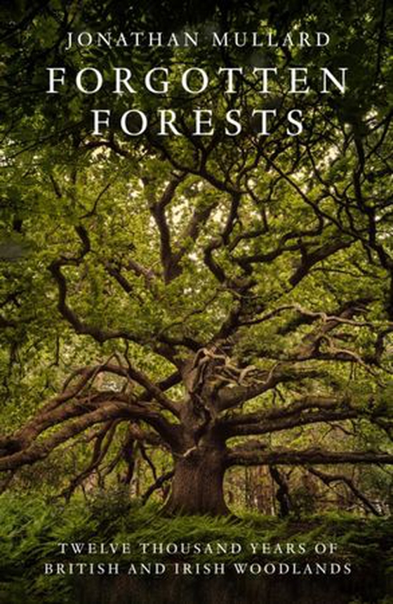 Forgotten Forests