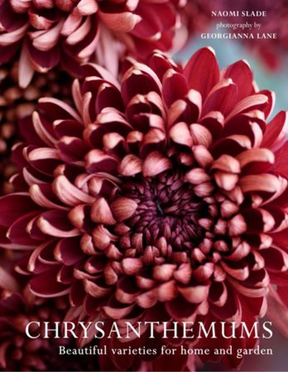 Chrysanthemums - Beautiful varieties for home and garden (ebok) av Naomi Slade