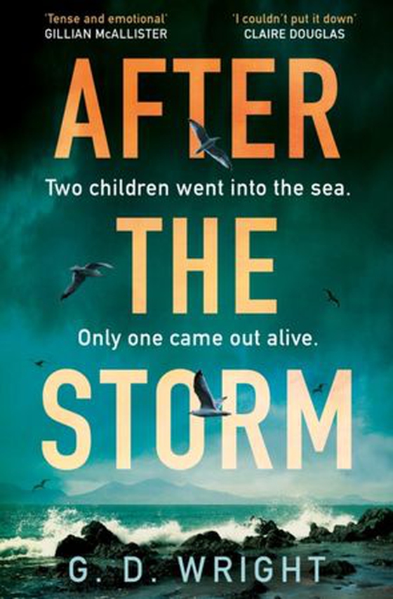 After the Storm (ebok) av G. D. Wright