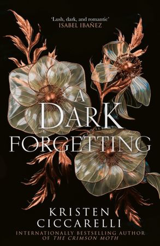 Dark Forgetting (ebok) av Kristen Ciccarelli
