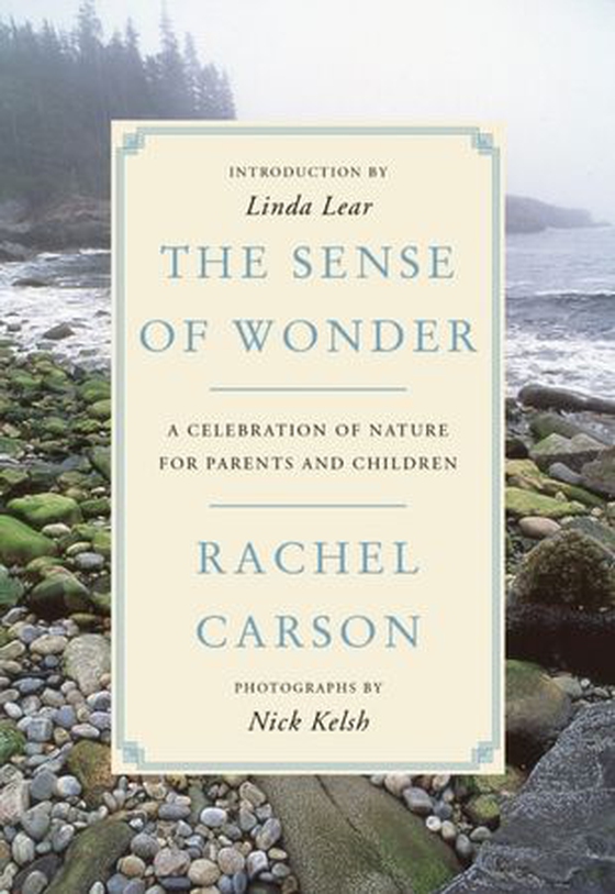 Sense of Wonder - A Celebration of Nature for Parents and Children (ebok) av Rachel Carson