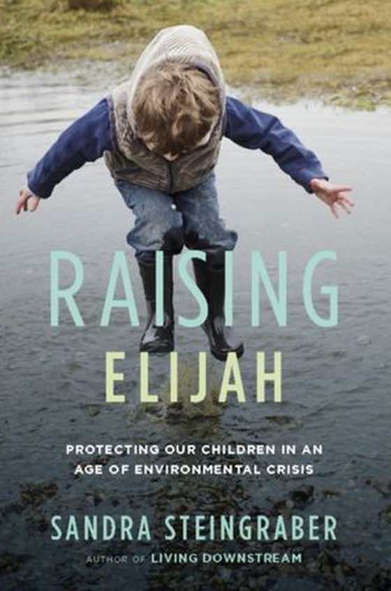 Raising Elijah - Protecting Our Children in an Age of Environmental Crisis (ebok) av Sandra Steingraber