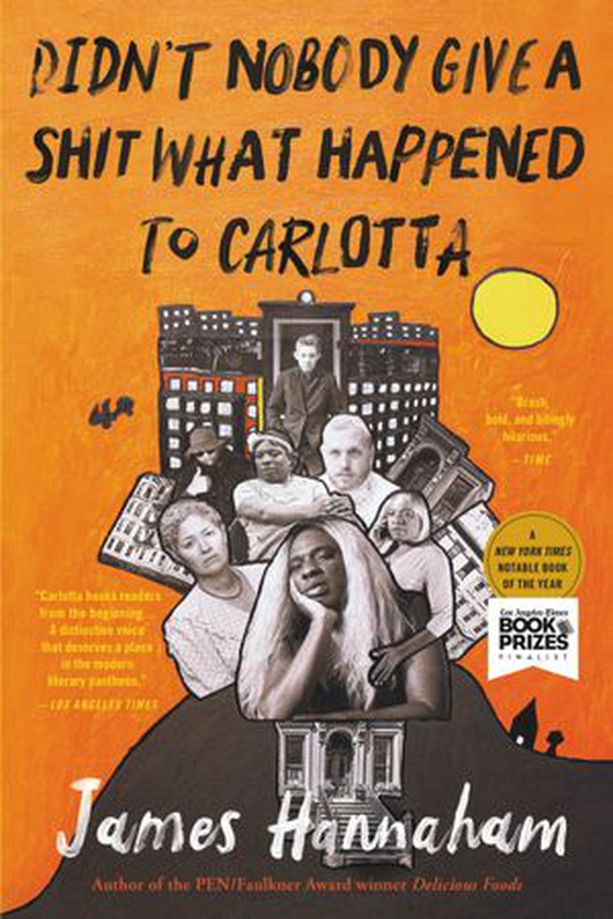 Didn't Nobody Give a Shit What Happened to Carlotta (ebok) av James Hannaham