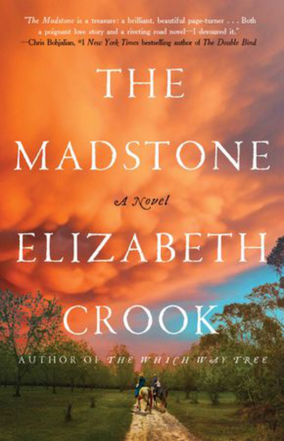 The Madstone - A Novel (ebok) av Elizabeth Crook