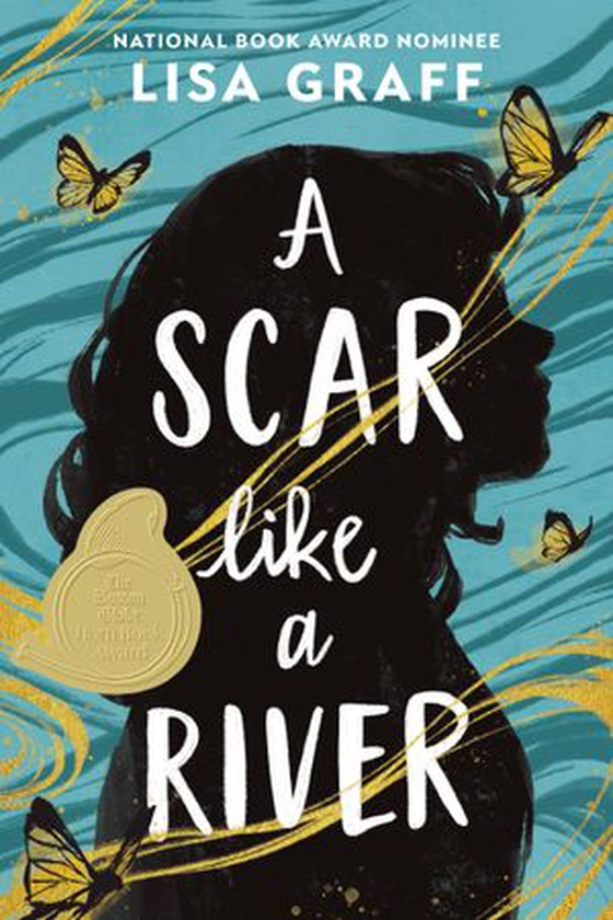 A Scar like a River (ebok) av Lisa Graff