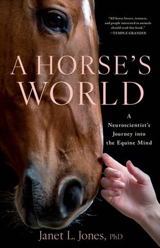 A Horse's World