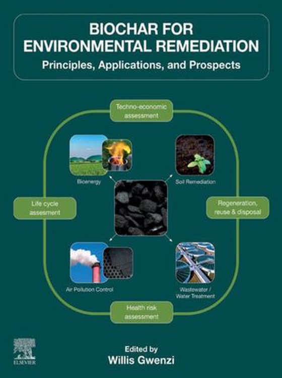 Biochar for Environmental Remediation