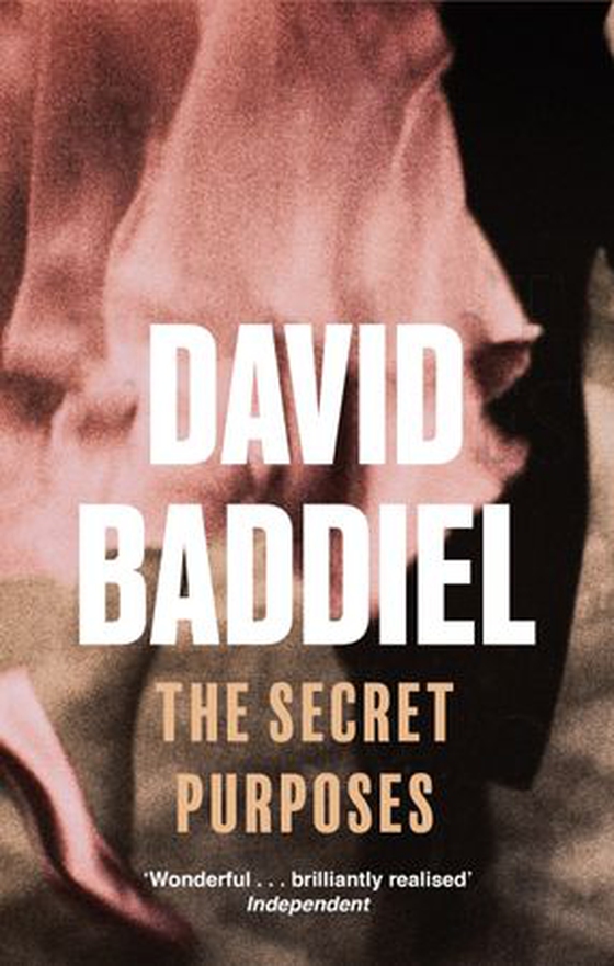 The Secret Purposes (ebok) av David Baddiel