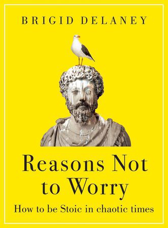 Reasons Not to Worry - How to be Stoic in chaotic times (ebok) av Brigid Delaney