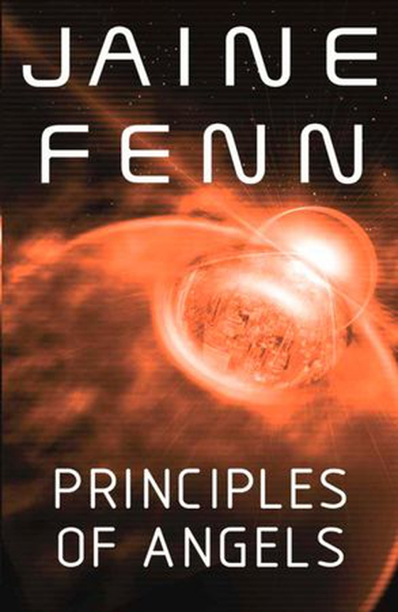 Principles of Angels (ebok) av Jaine Fenn