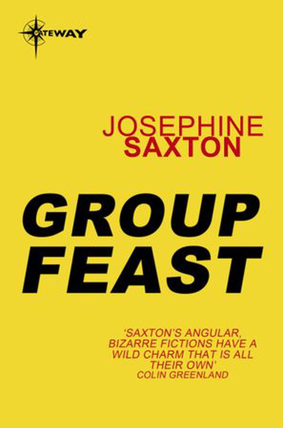 Group Feast (ebok) av Josephine Saxton