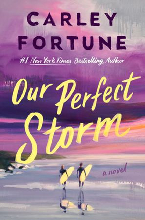 Our Perfect Storm