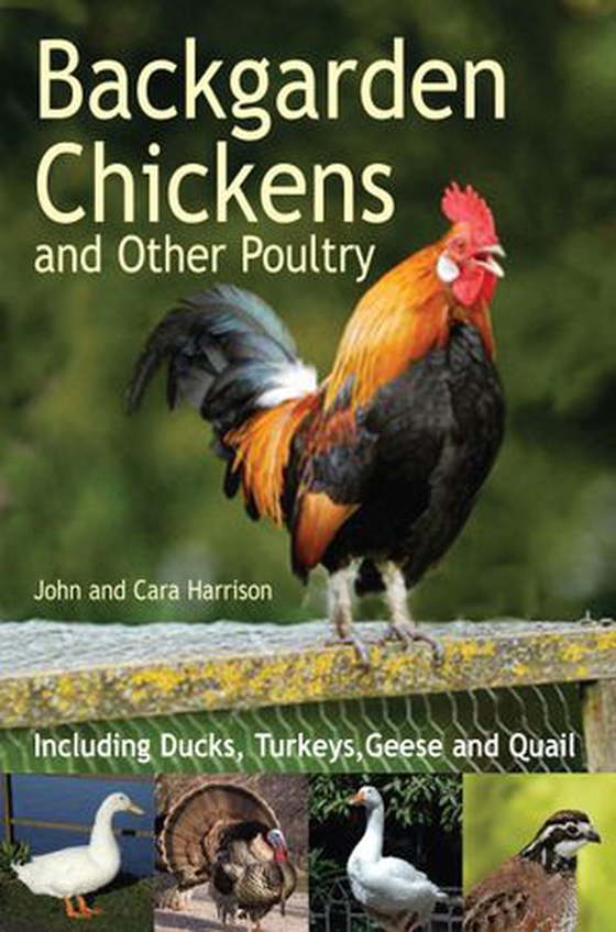 Backgarden Chickens and Other Poultry (ebok) av John Harrison