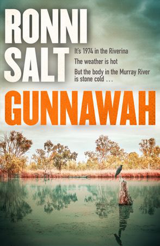 Gunnawah - A captivating and compulsive crime thriller about guns, drugs and a young woman dead on the money (ebok) av Ronni Salt