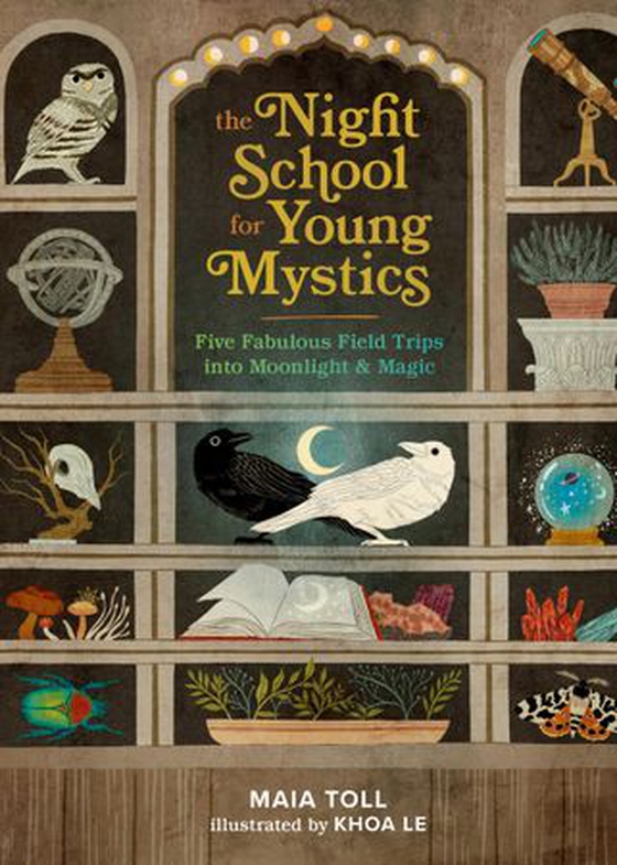 The Night School for Young Mystics - Five Fabulous Field Trips into Moonlight and Magic (ebok) av Maia Toll