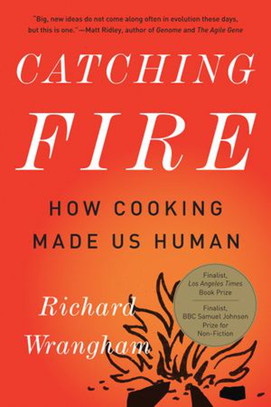 Catching Fire - How Cooking Made Us Human (ebok) av Richard Wrangham