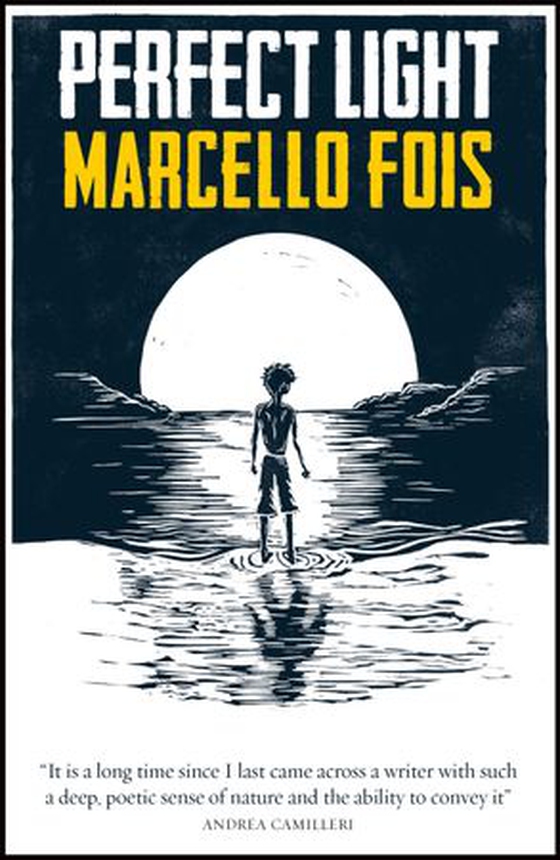 Perfect Light (ebok) av Marcello Fois